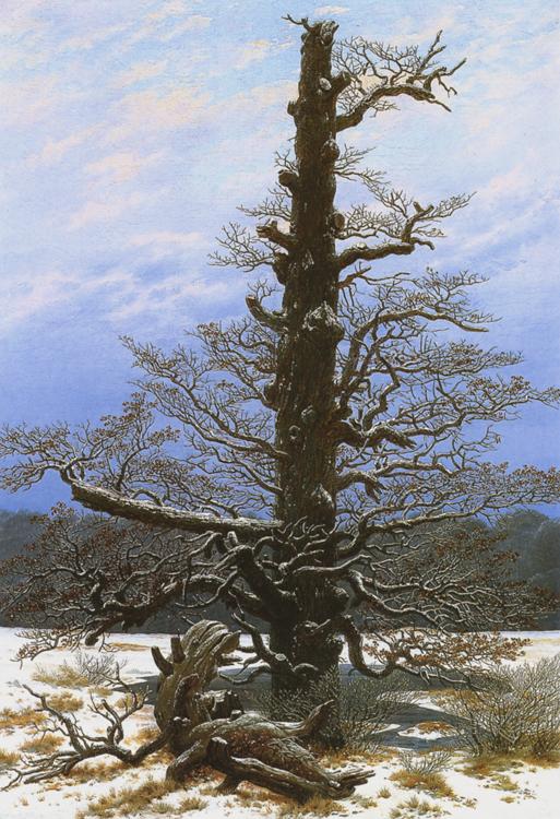 Caspar David Friedrich Oak Tree in the Snow (mk10) oil painting image